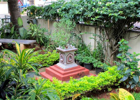 Red House Garden: An Indian Garden Garden Ideas India, Best Plants For Home, Indian Garden, Terrace Garden Design, Small Backyard Gardens, Gardening Plants, Plants Succulents, Home Garden Plants, Garden Makeover