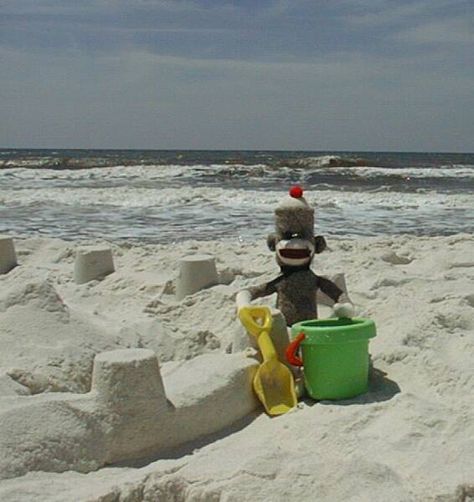 Sock monkeys on vacation! Sock Monkey Pfp, Monkey Asthetic Picture, Playing In The Sand, Monkey Jumping On The Bed, Monkey On The Car, Sock Monkey Aesthetic, Stuffed Monkey Aesthetic, Monkey Plush Aesthetic, Hawaii Surf