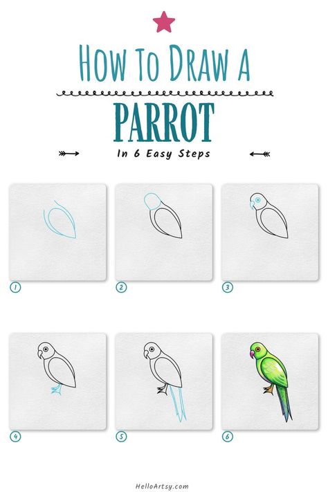 Step by step images demonstrating a how to draw a parrot - A Drawing Tutorial for Beginners! Croquis, Cockatiel Drawing Easy, Easy Parrot Drawing Simple, Parrot Simple Drawing, How To Draw A Parrot Easy, Parrot Drawing Easy Step By Step, How To Draw A Parrot Step By Step, Parotts Bird Drawing, How To Draw A Parrot