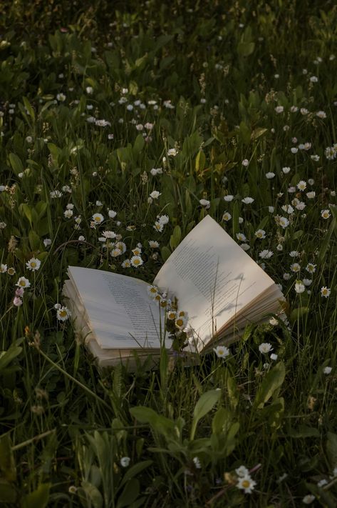 Photo by Valentina Ivanova on Unsplash Photo Book Cover, Green Academia, Spring Images, Spring Background, Still Life Photos, Natural Background, Book Images, Nature Images, Flower Backgrounds