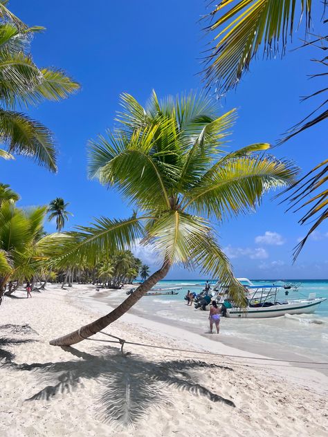 Saona Island Punta Cana, Saona Island, Beach Island, Island Vibes, Summer Bucket Lists, Punta Cana, Wanderlust Travel, Beach Pool, Island Life