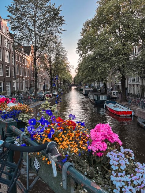 Amersterdam Aesthetic, Amsterdam Vision Board, Amsterdam Aesthetic Spring, Amsterdam Sunset, River Aesthetic, Amsterdam Aesthetic, Flowers Sunset, Amsterdam Photos, Netherlands Travel