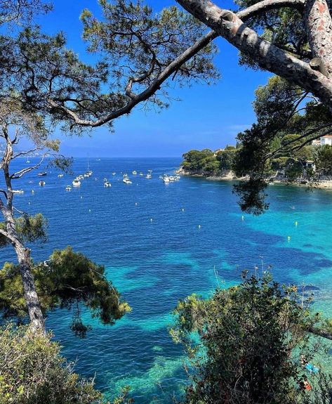 Paloma Beach Cap Ferrat, French Beach Aesthetic, French Beach House, French Riviera Aesthetic, Paloma Beach, Saint Jean Cap Ferrat, French Beach, France Summer, Spain Aesthetic