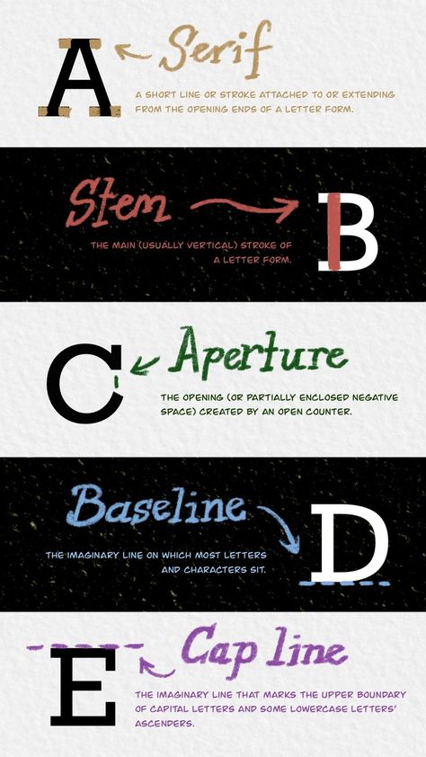 Typography Terms, Graphic Design Terms, Create Font, Typography Book, Typo Design, Hand Lettering Fonts, Letter Form, Logo Creation, Graphic Design Tips