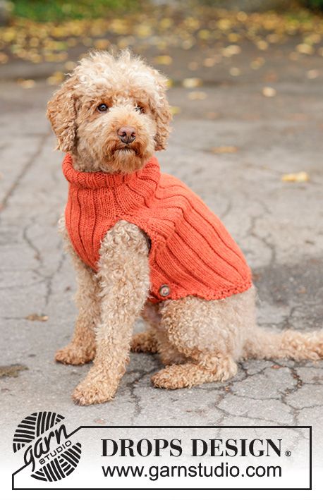 Outdoor Fun / DROPS 102-45 - Free knitting pattern Knitted Dog Sweater Pattern, Knitting Patterns Free Dog, Dog Patterns, Dog Sweater Pattern, Crochet Kimono, Dog Clothes Diy, Knitting Patterns Free Scarf, Knit Dog Sweater, Dog Jumpers