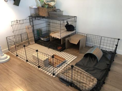 Bunny Cages Ideas, Bunny Set Up, House Rabbit Setup, Indoor Bunny Setup, Indoor Rabbit Setup, Bunny Room Ideas, Pet Bunny House, Indoor Bunny House, Diy Bunny Cage