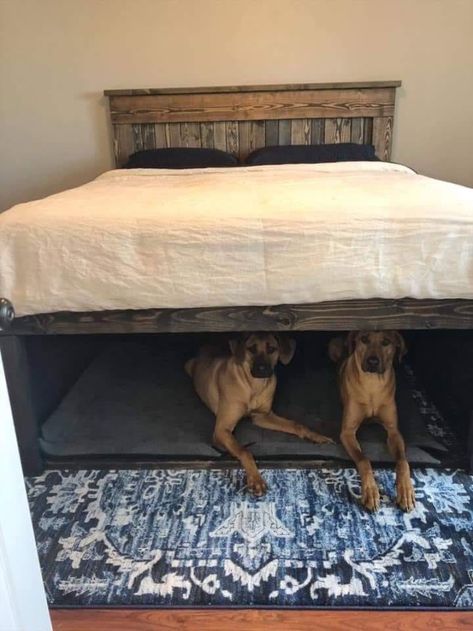 Built-in dog beds underneath people bed Skjulte Rum, Design Seed, Dog Bedroom, Head Boards, Western Bedroom, Dog Kennels, Studio Apt, Dog Ideas, Air Bnb