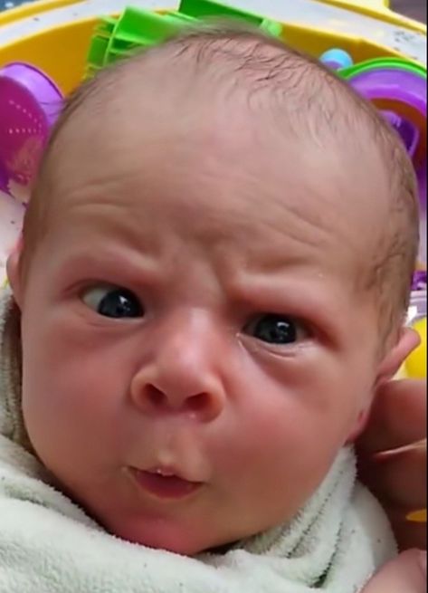 Silly Baby Pictures, Fat Babies, Baby Humor, Grumpy Baby, Funny Baby Faces, Angry Baby, Funny Baby Boy, Funny Baby Pictures, Baby Funny