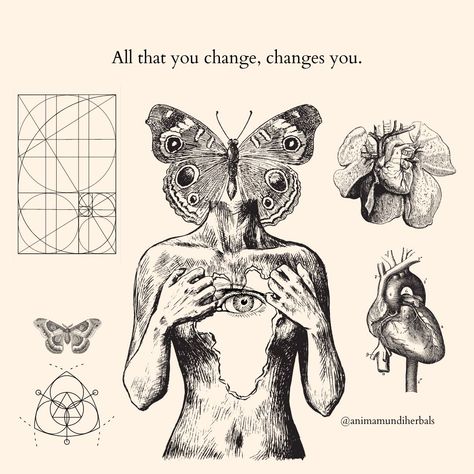 Change Spiritual Art, Butterfly Metamorphosis Drawing, Self Transformation Art, Evolution Artwork Ideas, Higherself Tattoo, Art About Transformation, Self Consciousness Art, Constant Change Tattoo, Trust Universe Tattoo