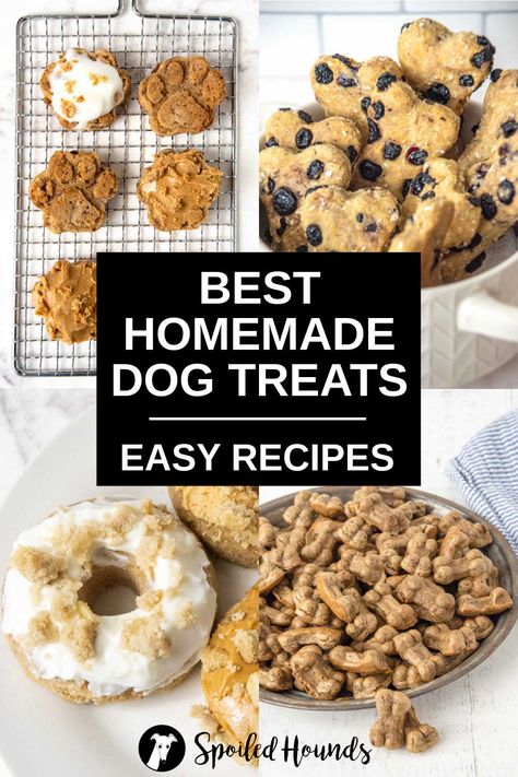 You can make the best homemade dog treats with simple ingredients. Get the easy dog treat recipes on Spoiled Hounds! Puppy Training Treats Homemade, Dog Treats Homemade Mold, Soft Chewy Dog Treats Recipe, Gourmet Dog Treat Recipes Homemade, Long Lasting Dog Treat Recipes, Unique Dog Treat Recipes, Unique Homemade Dog Treats, Homemade Dog Donut Treats, Homage Dog Treats