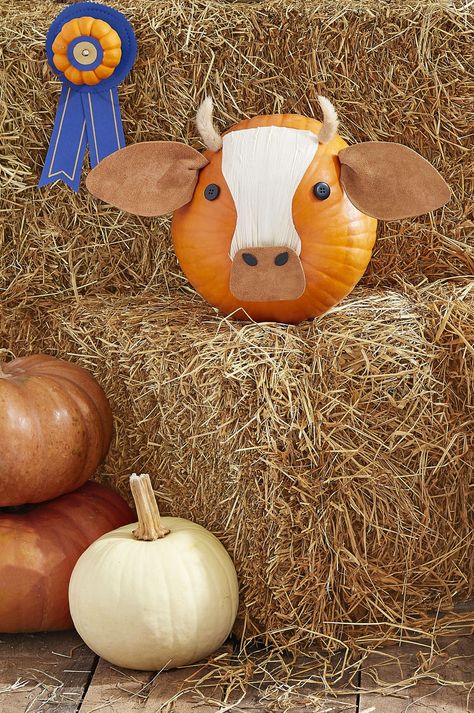 Cow Pumpkin, Creative Pumpkin Decorating, Pumpkin Decorating Contest, Halloween Decor Diy, No Carve Pumpkin Decorating, Pumpkin Contest, Halloween Pumpkin Designs, Carte Halloween, Halloween Pumpkins Painted