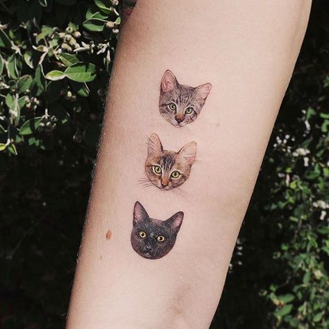 Happy #CatTatThursday! 🐈✨⠀ ⠀ Whats better than one kitty...? Three kitties! ❤️ We’re in love with these kitty portraits of Jesse, Beanie and Pepper by @paw.tattoo! #cattooswelove Cat Face Tattoo, Tiny Cat Tattoo, Cat Face Tattoos, Cat Portrait Tattoos, Cat Tattoo Designs, Face Tattoos, Face Tattoo, Disney Tattoos, Nature Tattoos