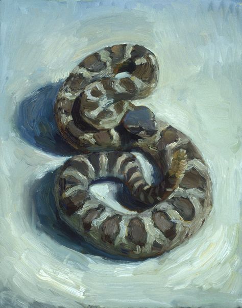 Critters - John Brosio – Painter Cobra Painting, Snake Painting Aesthetic, Snake Surrealism, Snake Oil Painting, John Collier Paintings, Traditional Art, Animal Paintings, Art Classes, Fine Art Painting