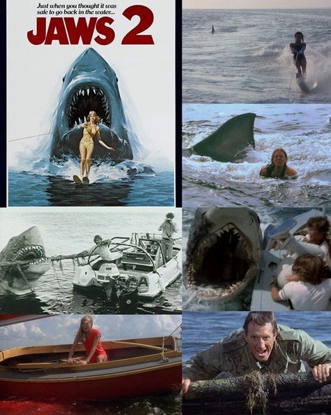 Film Major, Horror Movie Scenes, Jaws 2, Movies Scenes, 2 Aesthetic, Jaws Movie, Horror Movie Icons, Famous Monsters, Cool Monsters