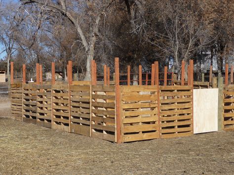 More pictures of my pallet goat pens. Three separate pens so goats can be sorted and worked Pig Fence, Fence Building, Livestock Shelter, Goat Shelter, Pallet Building, Raising Pigs, Pallet Shed, Pig Pen, Pot Belly Pigs