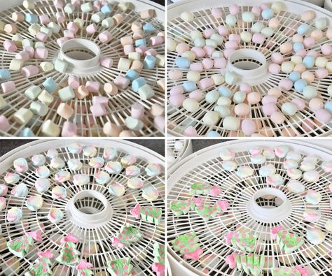 Dehydrated Gifts, Dehydrating Marshmallows, Dehydrator Meals, Dehydrate Marshmallows, 1800 Clothing, Kitchen Restock, Homesteading Food, Dehydrating Recipes, Dehydrated Bananas