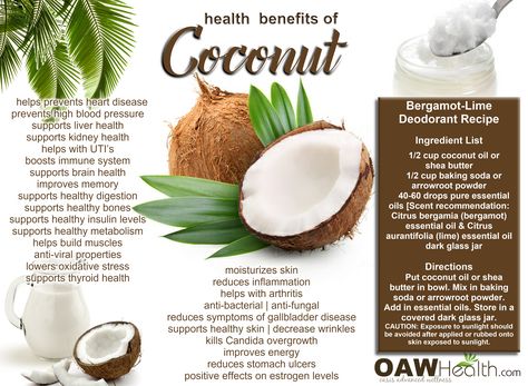 Even the very best health benefits of coconut are numerous. These benefits range from reducing inflammation to supporting many of your body's processes. Coconut Health, Benefits Of Coconut, Deodorant Recipes, Coconut Benefits, Lime Essential Oil, Coconut Health Benefits, Reducing Inflammation, Raw Coconut, Healthy Cat Treats