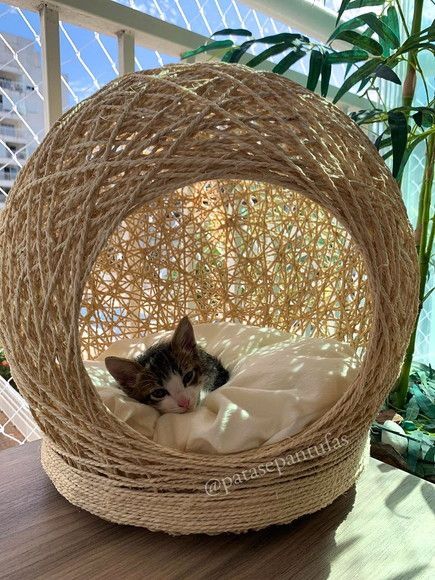 Katt Diy, Katt Grejer, Kat Diy, Cat House Diy, Diy Cat Toys, Cat Enclosure, Kraf Diy, Cat Crafts, Cat Room