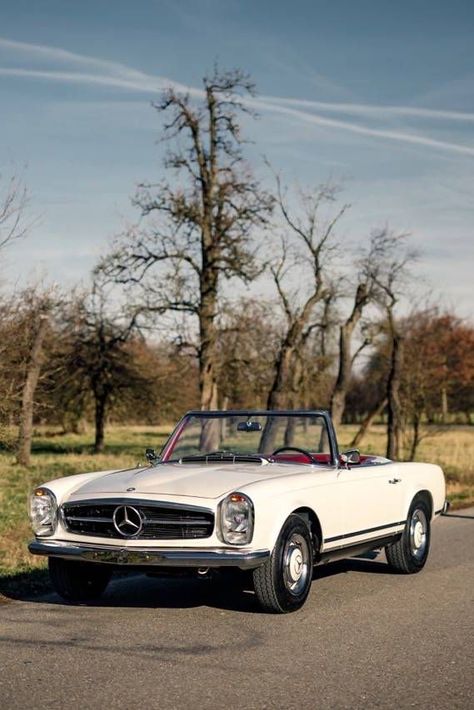 Get swept off your feet! This incredibly well preserved 1964 Mercedes-Benz 230 SL comes with rare optional equipment features (ex factory) such as power steering and a red real leather interior - which paired with the classic's pristine white finish culminates in an astonishing color combination. No expenses have been spared during a partial restoration. 230 Sl Mercedes, Mercedes Benz 230 Sl, Classic Mercedes Benz Vintage, Mercedes 230 Sl, Mercedes 280 Sl, Mercedes 350, Mercedes Benz Convertible, Mercedes 230, Mercedes 280