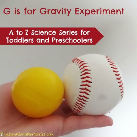 G is for Gravity Experiment - part of the A to Z Science Series for Toddlers and Preschoolers at Inspiration Laboratories Gravity Experiments, Letter G Activities, Pre-k Science, Science For Toddlers, Preschool Science Activities, Science Experiments For Preschoolers, Science Activities For Kids, Preschool Letters, Kindergarten Science