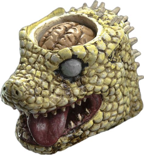 #Dorohedoro #Caiman collectible stands 36cm (14.7”) tall.Lizard head features exchangeable face parts;comes loaded with weapons,and we didn't forget to include bento box with gyoza! Pre-order threezerostore Exclusive Dorohedoro Caiman version, starting from September 30th 9:00AM HK at www.threezerostore for USD210 with Worldwide Shipping included.Full info and 39 high-res images: https://www.facebook.com/media/set/?set=a.1207117082647451.1073741935.697107020315129&type=1&l=60796474d0 #threezero Dorohedoro Lizard, Cosplay Draculaura, Dorohedoro Caiman, Caiman Dorohedoro, Face Parts, Muddy Buddies, Dragon Artwork, Love Bugs, Monster Hunter