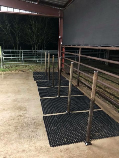 Wash rack Livestock Pens Ideas, Show Cattle Wash Rack, Pig Wash Rack, Livestock Wash Rack, Cattle Wash Rack Ideas, Wash Rack For Cattle, Cattle Wash Rack, Show Barn Ideas Cattle, Show Cattle Barn Layout