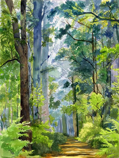 Forest Watercolor on Behance Forest In Watercolor, Spring Landscape Watercolor Painting, Watercolor Magic Forest, Forest Scene Painting, Watercolor Forest Paintings, Watercolour Forest Painting, Watercolor Background Landscape, Forest Painting Watercolor, Forest Drawings