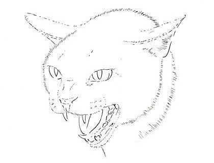 Cat hissing Cat Hissing, Hissing Cat, How To Draw Cats, Cat Face Drawing, Drawing Of A Cat, Cat Lover Quote, Draw Cats, Draw A Cat, Girl Power Tattoo