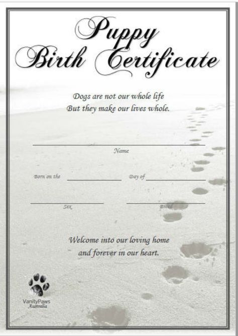 Pet Birth Certificate, Puppy Birth Certificate, Birth Certificate Form, Dog Breeding Kennels, Dog Whelping Box, Pet Care Printables, Dog Breeding Business, Whelping Puppies, Dog Birth