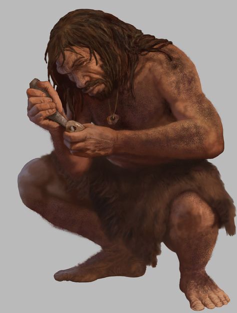 Human Evolution Tree, Prehistoric Humans, Age Reference, Homo Heidelbergensis, Paleolithic Art, Ancient America, National Museum Of Natural History, Early Man, Paleolithic Era