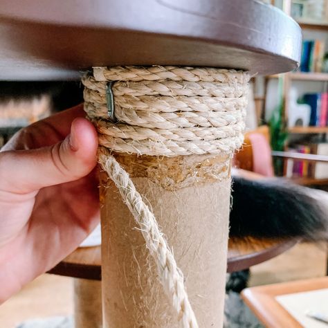 Diy Cat Scratcher, Diy Cat Scratching Post, Cat Scratcher Post, Katt Grejer, Cat Patio, Cat Wall Shelves, Diy Cat Tree, Cat House Diy, Diy Cat Toys