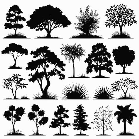 Tree silhouettes drawing collection hand... | Premium Vector #Freepik #vector #tree #black #flat #plants Tree Silloutes Simple, Tree Outline Silhouettes, Silhouettes Drawing, Oak Tree Silhouette, Tree Outline, Drawing Collection, Branch Tree, Silhouette Drawing, Vector Trees