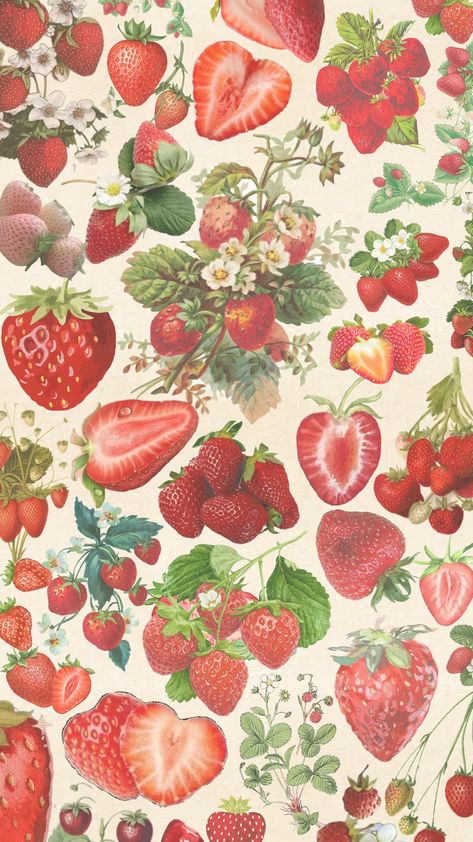 #strawberries #strawberryfields #thebeatles #cottagecore Ed E Lorraine Warren, Phone Wallpaper Patterns, Cute Patterns Wallpaper, Pretty Wallpaper Iphone, Iphone Background Wallpaper, Summer Wallpaper, Cute Wallpaper Backgrounds, Ipad Wallpaper, Wallpaper Iphone Cute