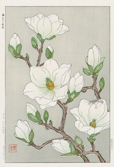 Japanese Painting, Art Chinois, Illustration Botanique, Japanese Flowers, Art Japonais, Arte Sketchbook, Japanese Woodblock Printing, Botanical Drawings, Japan Art