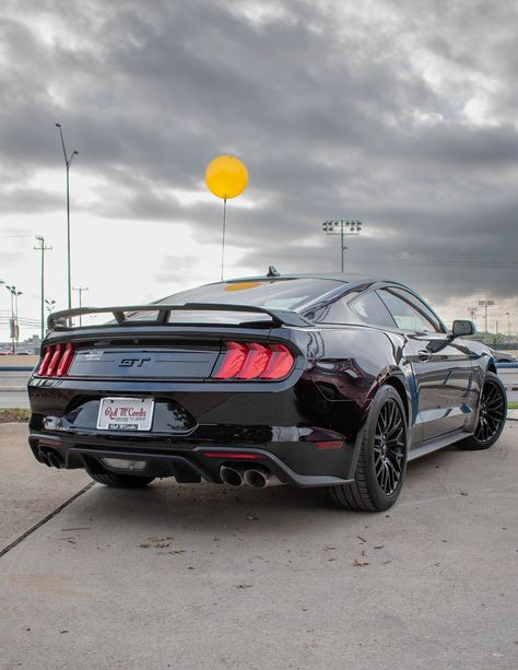 Mustang 5.0 Gt, Mustang Gt 2015, Black Mustang Gt, Mustang Gtr, New Tesla Roadster, Ford 2020, Ford Mustang Gt 2015, Mustang Gt Premium, Sports Cars Mustang