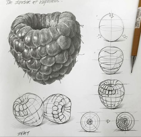 Realistic Texture Drawing, Drawing Shapes Art, Organic Objects Drawing, Structures Art Gcse, Shape Drawings Art, Drawing Raspberry, Structure Art Gcse, Food Drawings Easy, Structures Drawing