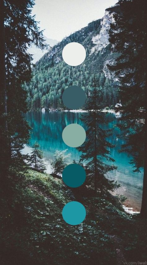 Pnw Color Palette, Nature Color Pallete, In Color Balance, Color Design Inspiration, Beauty Words, Calligraphy Brush, Hex Color Palette, Expressing Love, Color Schemes Colour Palettes