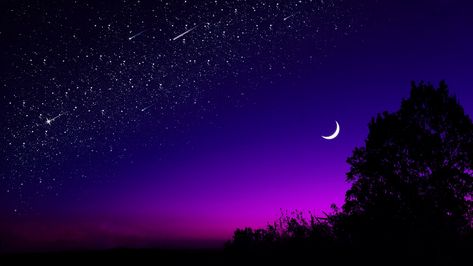 Download wallpaper 2048x1152 moon, tree, starry sky, night, stars, dark ultrawide monitor hd background Nice Wallpapers, Wallpapers Dark, Purple Sky, 16 9, Night Sky, Moon, Wallpapers, Stars, Purple