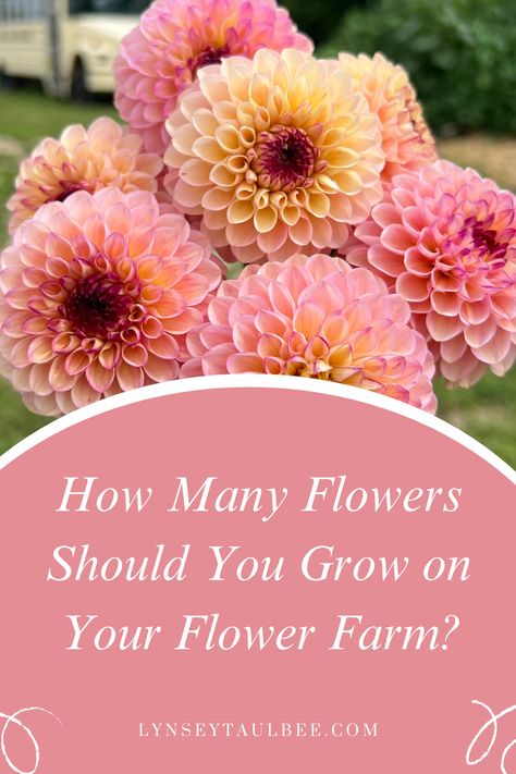 So, you've decided to start a flower farm—that’s exciting! As you start taking the first steps towards making your love for flowers as a full-time business, it won’t take you long to run into this million dollar question: How many flowers should I grow on my flower farm? Click for more info! Flower Farm Rows, Flower Farm For Beginners, Start A Flower Farm, How To Grow Cut Flowers, Cut Flower Farm Layout, You Pick Flower Farm Layout, Flower Farming For Beginners, How To Start A Flower Farm, U Pick Flower Farm