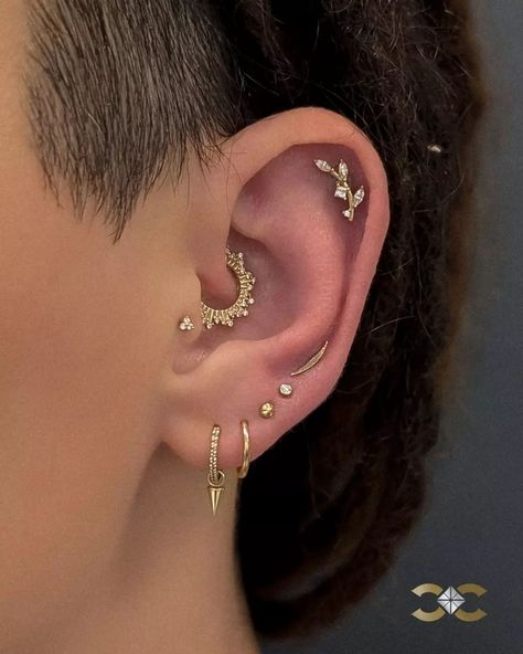 ✨Comment 'LINK' to receive the product links and jewellery prices in your DMs✨ This stunning ear curation beautifully blends gold tones with intricate details, showcasing a mix of textures and styles. Each piercing tells a story, from the charming olive branch design to the elegant minimalist studs.  A true testament to the art of ear styling!" 🎉💖 #GoldGlam #EarCuration #UniqueStyle Find Ireland's largest collection of Fine Jewellery in-store at 7 D'Olier Street or online at our webstore, ... Tiny Tragus Piercing, Gold Curated Ear Piercing, Piercings Small Ears, Celestial Ear Curation, Minimalist Ear Curation, Constalation Ear Piercings, Cute Ear Piercings Minimalist, Aesthetic Piercings Ear Simple, Ear Curation Gold