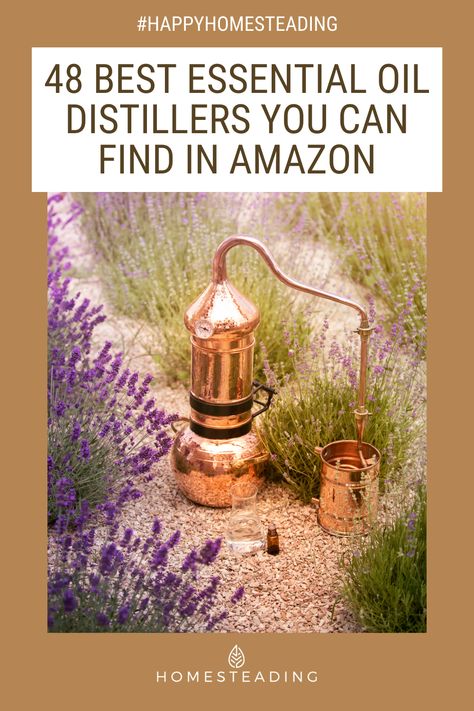 Nature, How To Extract Essential Oils, Distilling Essential Oils At Home, Distilling Lavender Oil, How To Distill Essential Oils, Distilling Essential Oils, Making Essential Oils Diy, How To Make Essential Oils, Oil Distiller