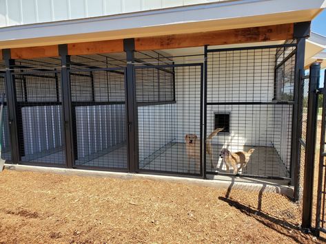 3 Dog Kennel Ideas Outdoor, Garage Kennels For Dogs, Outdoor Dog Kennel Ideas Sheds, Kennel Boarding Ideas, Inside Outside Dog Kennel, Shed To Dog Kennel, Hunting Dog Kennel Ideas, Barndominium Dog Kennel, Shed Dog Kennel Ideas