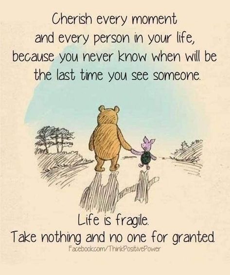 Pooh And Piglet Quotes, Piglet Quotes, Positiva Ord, Life Is Fragile, Winnie The Pooh Quotes, Harsh Words, Cherish Every Moment, Pooh Quotes, Memories Quotes