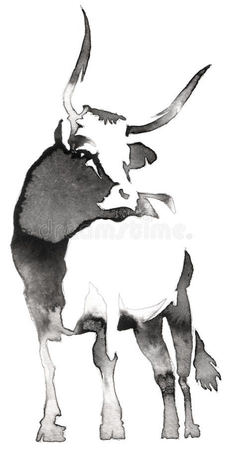 Bull Illustration, Painting With Water, Draw Outline, Bull Painting, Monochrome Painting, Bull Art, Cow Art, Black And White Painting, Animal Sketches