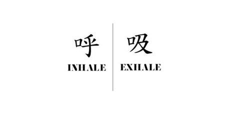 Inhale/Exhale Chinese Script Tattoo Inhale Exhale Tattoo, Breathe Symbol, Kanji Tattoo, Chinese Tattoo, Tattoo Script, Symbol Tattoos, Inhale Exhale, Branding Mood Board, Mood And Tone