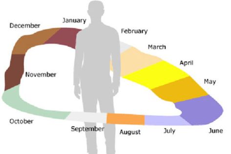 Number Forms, Neural Connections, New Scientist, Online Calendar, Patient Experience, Going On Holiday, Day Work, Interesting Articles, Bbc News