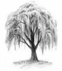 Weeping willow. always been my fav tree but now i know why she cries Hunters Tattoo, Lover Tattoos, Willow Tree Tattoo, Bonsai Tree Tattoos, Tree Sleeve Tattoo, Pine Tattoo, Tree Drawing Simple, Tat Inspiration, Tree Tattoo Back