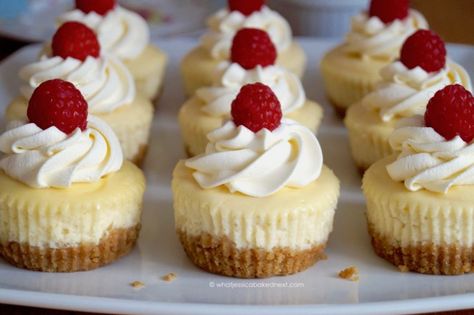 Individual Lemon Cheesecakes, Mini Cheesecake Decoration, Tiny Cheesecakes, Lemon Cheesecakes, Blueberry Sauce Recipe, Mini Lemon Cheesecakes, Passionfruit Cheesecake, Mini Cheesecakes Easy, Bake Ideas