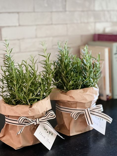 Rosemary Party Favor - A Thoughtful Place Rosemary Arrangement Table Decorations, Plants For Table Centerpiece, Herb Party Favors, Garden Club Party Favors, Simple Party Favors For Adults, Rosemary Centerpiece Ideas, Rosemary Arrangement, Rosemary Gifts, Omega Foods