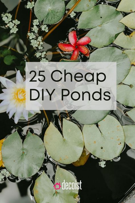 With a few simple pumps, hoses and natural rocks, you can easily create a cool DIY pond that makes a big visual impact. This is a look at the 25 best, affordable and gorgeous DIY ponds around. // DIY // DIY Crafts // DIY Projects // Crafts for Adults // Craft Projects // Crafts // Home Projects // Home Projects DIY // Diy Pond Ideas, Home Projects Diy, Small Fish Pond, Fish Ponds Backyard, Small Backyard Ponds, Diy Ponds Backyard, Raised Pond, Ponds For Small Gardens, Fish Pond Gardens